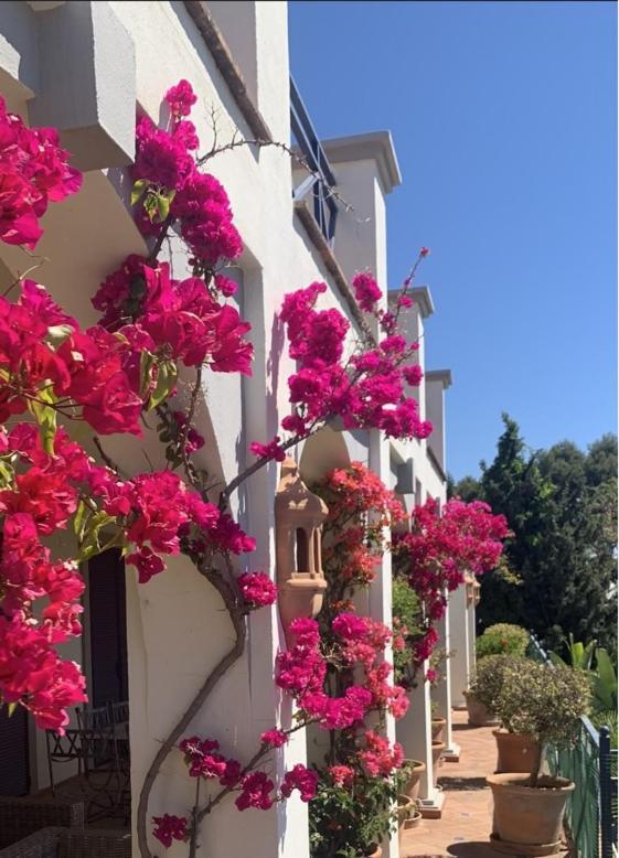 Boutique Hotel Maravilla - Marbella เบนาบีส ภายนอก รูปภาพ