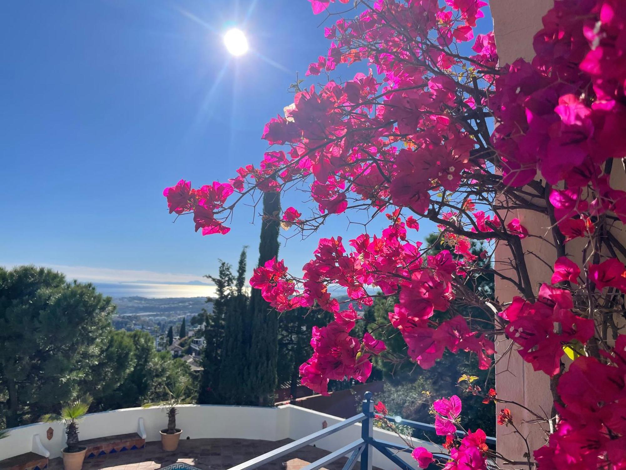 Boutique Hotel Maravilla - Marbella เบนาบีส ภายนอก รูปภาพ