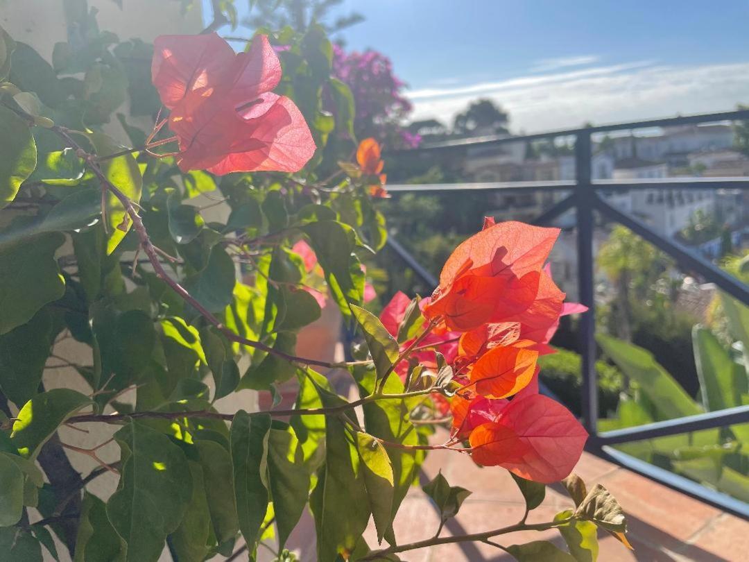 Boutique Hotel Maravilla - Marbella เบนาบีส ภายนอก รูปภาพ