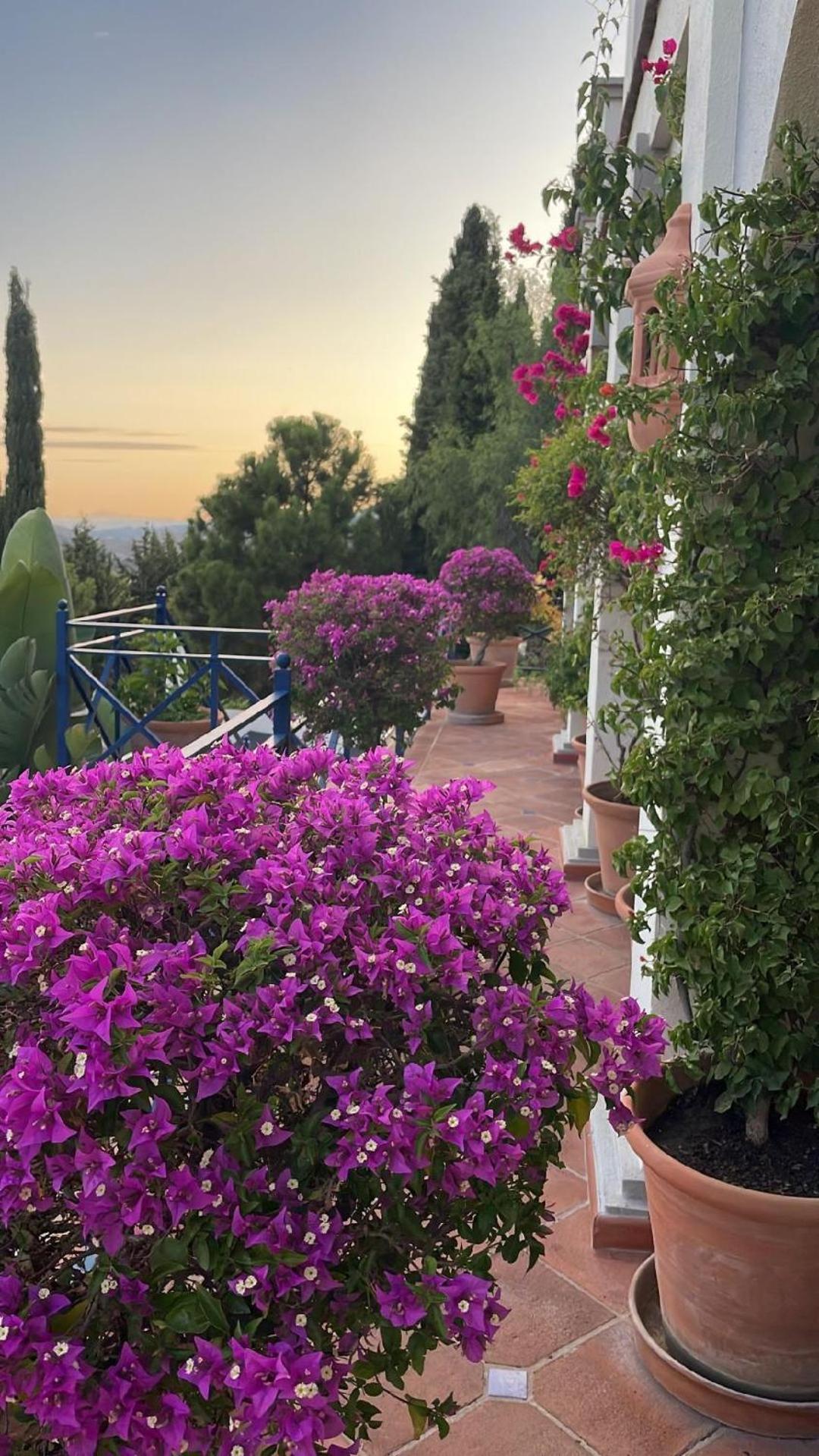 Boutique Hotel Maravilla - Marbella เบนาบีส ภายนอก รูปภาพ